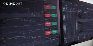 Exploring Opportunities PrimeXBT Dogecoin Trading