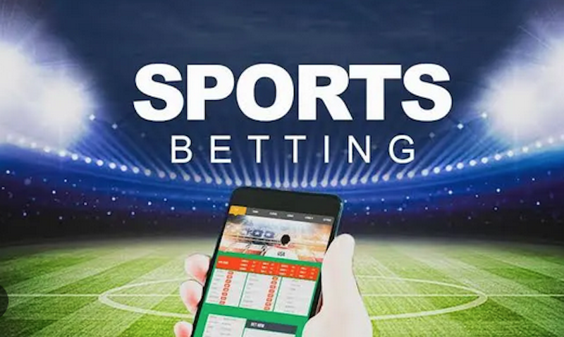 Explore the World of 7d bet Your Ultimate Betting Experience