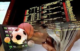 Explore the World of 7d bet Your Ultimate Betting Experience