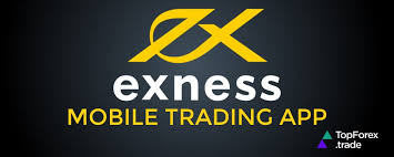 Comprehensive Overview of the Exness Web Platform