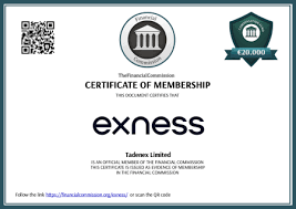 Exness Forex Broker Review Unveiling the Pros and Cons