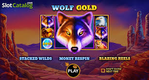 wolf gold slot 당신의 운을 시험해 보세요!