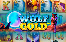 wolf gold slot 당신의 운을 시험해 보세요!